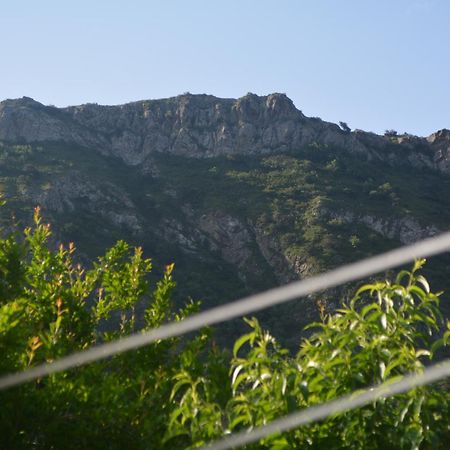 West Door Apartment Mtskheta Exterior photo